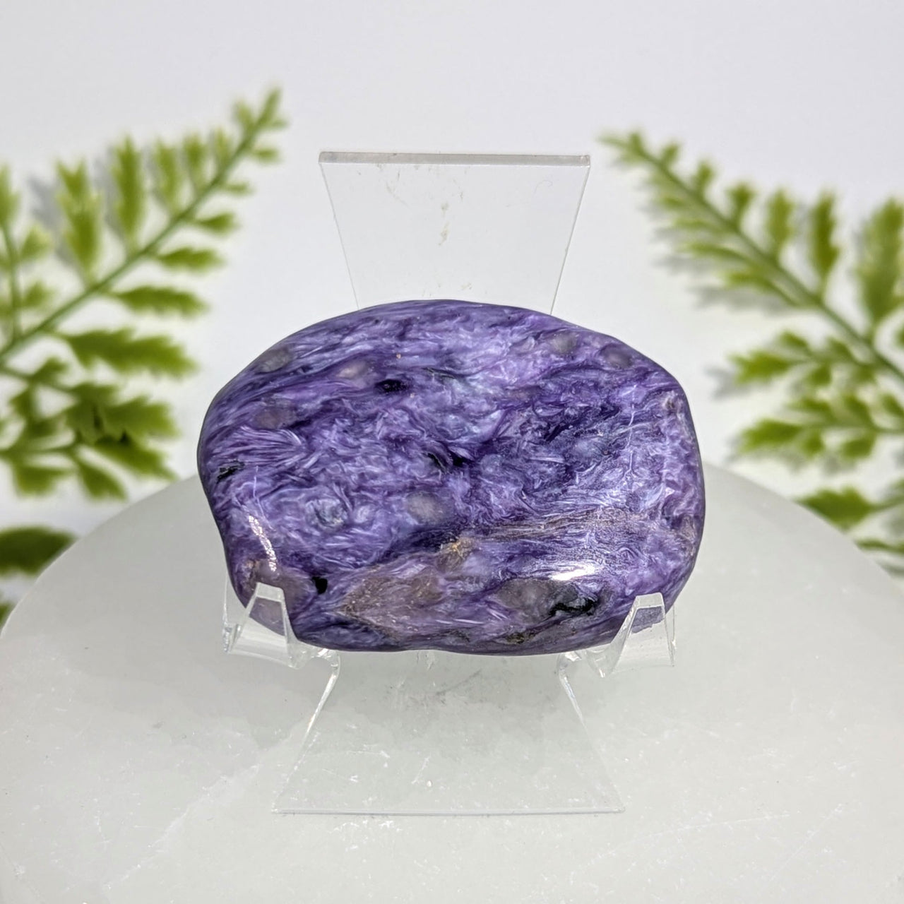Charoite  2" Pebble #BC1530