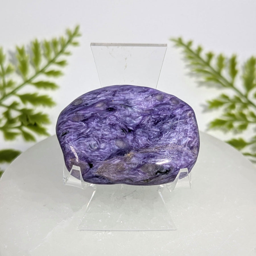 Charoite  2" Pebble #BC1530