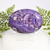 Polished 2.5in Charoite AA purple amethyst geode palm specimen #BC0922