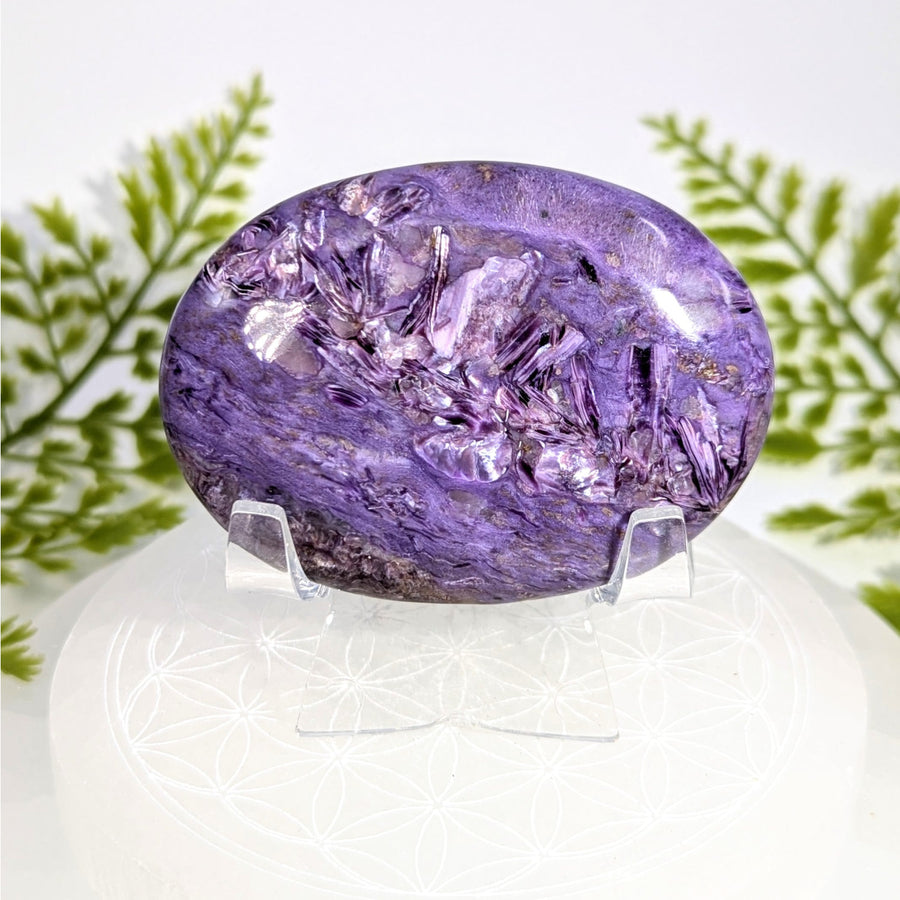 Polished 2.5in Charoite AA purple amethyst geode palm specimen #BC0922