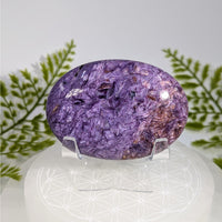 Polished oval purple fluorite palm stone Charoite AA 2.7’’ #BC0923