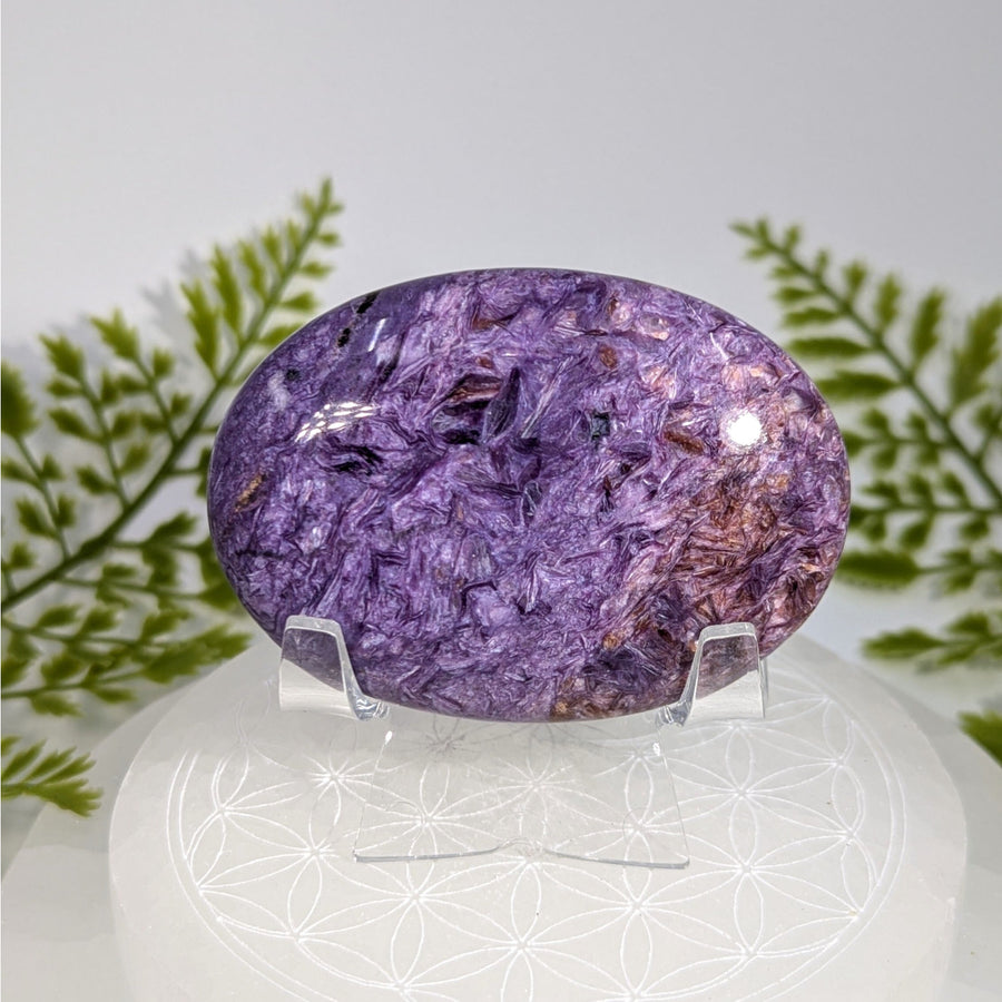 Polished oval purple fluorite palm stone Charoite AA 2.7’’ #BC0923