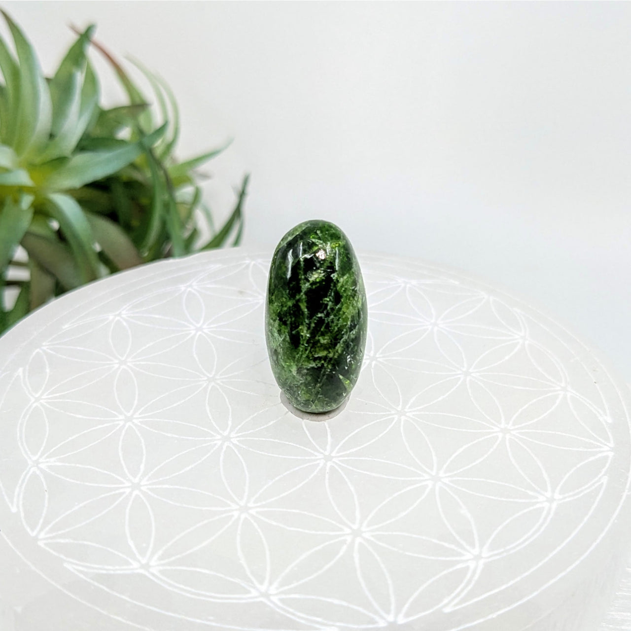 Chrome Diopside 1’’ Mini Pebble #LV5638 - $74