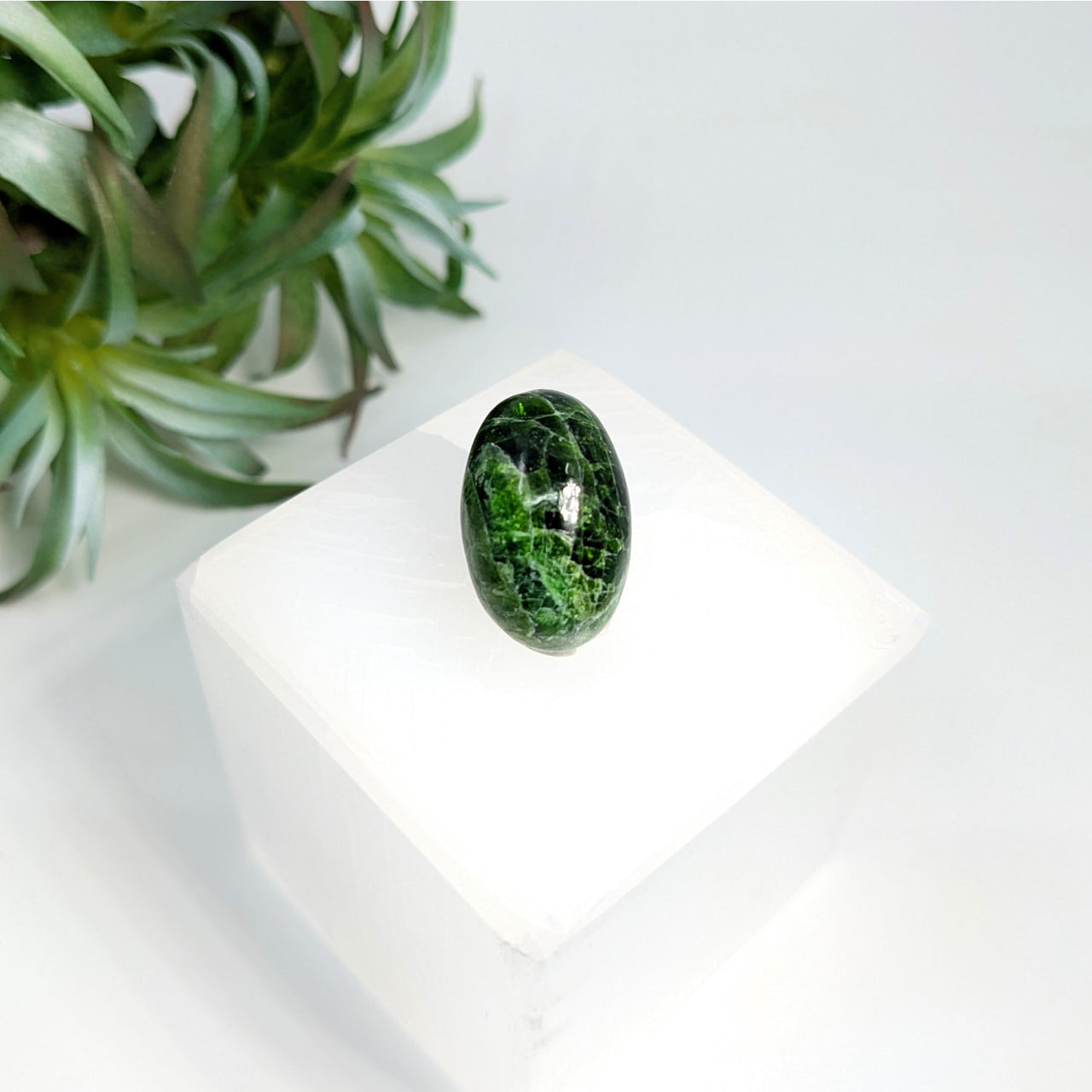 Chrome Diopside.8’’ Mini Pebble #LV5639 - $69