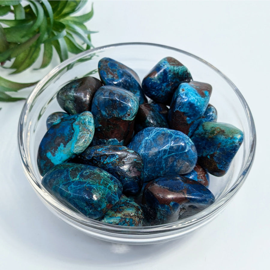 Polished blue-green Chrysocolla Shattukite stones in a 1-1.5 inch AA tumble for jewelry