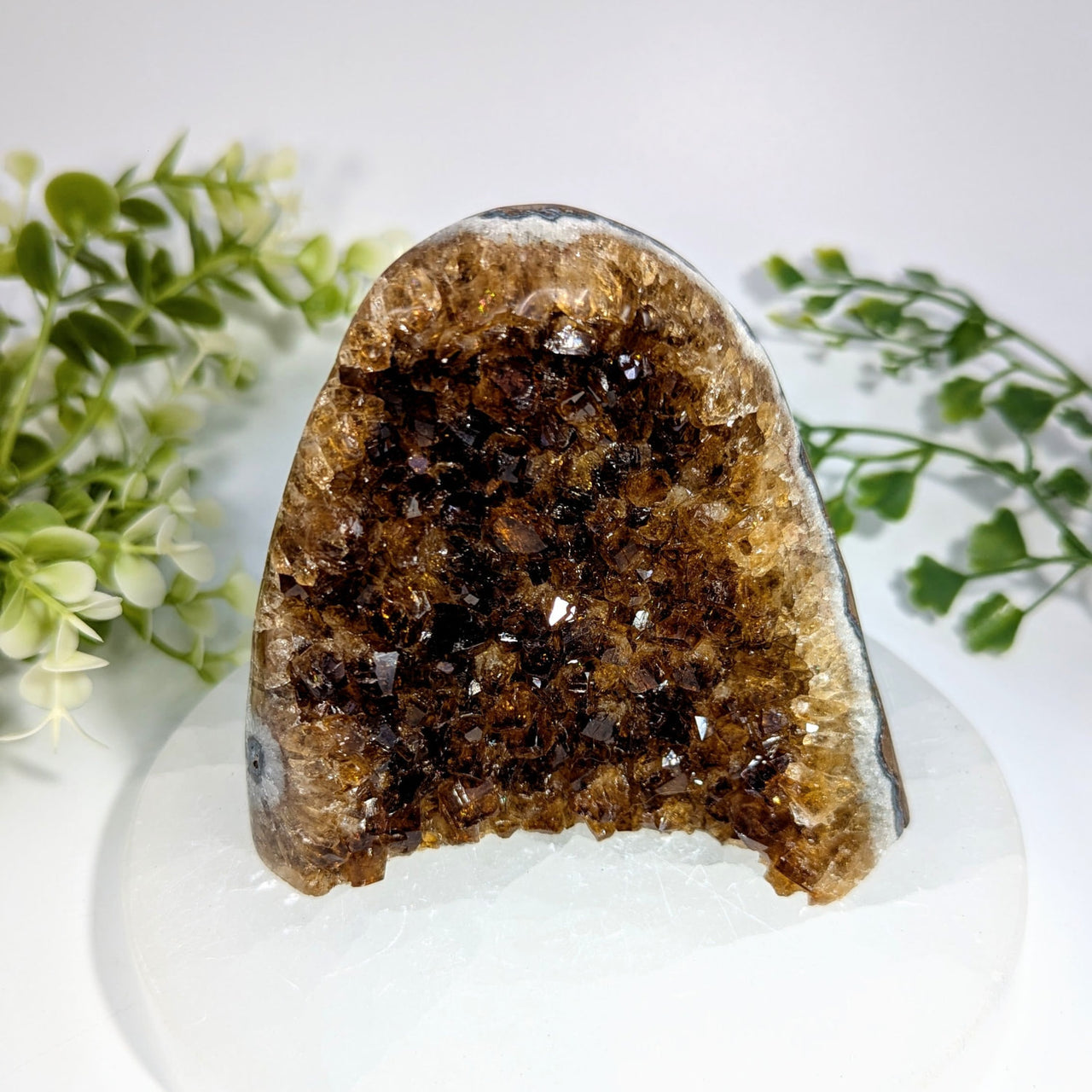 Citrine 3.4 cut base geode with polished brown amethyst cluster and smooth white outer shell for display