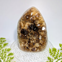 Citrine 4-inch geode freeform #BC1145 with polished brown crystal interior