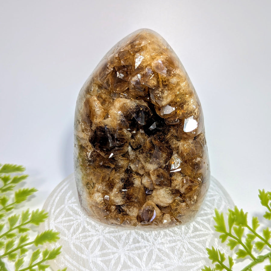 Citrine 4-inch geode freeform #BC1145 with polished brown crystal interior