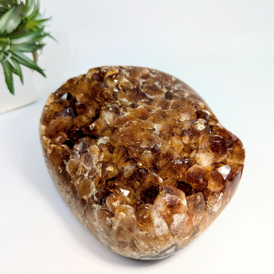 Amber-colored Crystal Geode from Citrine 5.8 Inch Polished Geode #LV8118