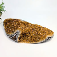 Golden Citrine Crystal Geode from Citrine 7.6 Inch Polished Geode #LV8117