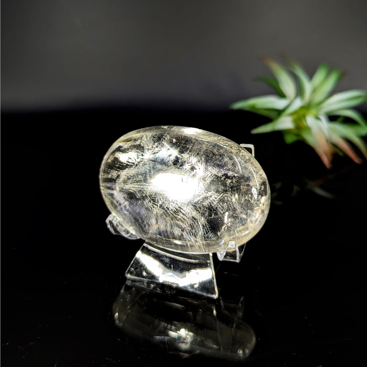 Translucent Quartz Skull on Stand in Clear Optical Calcite Palm Stone 2.3 inches