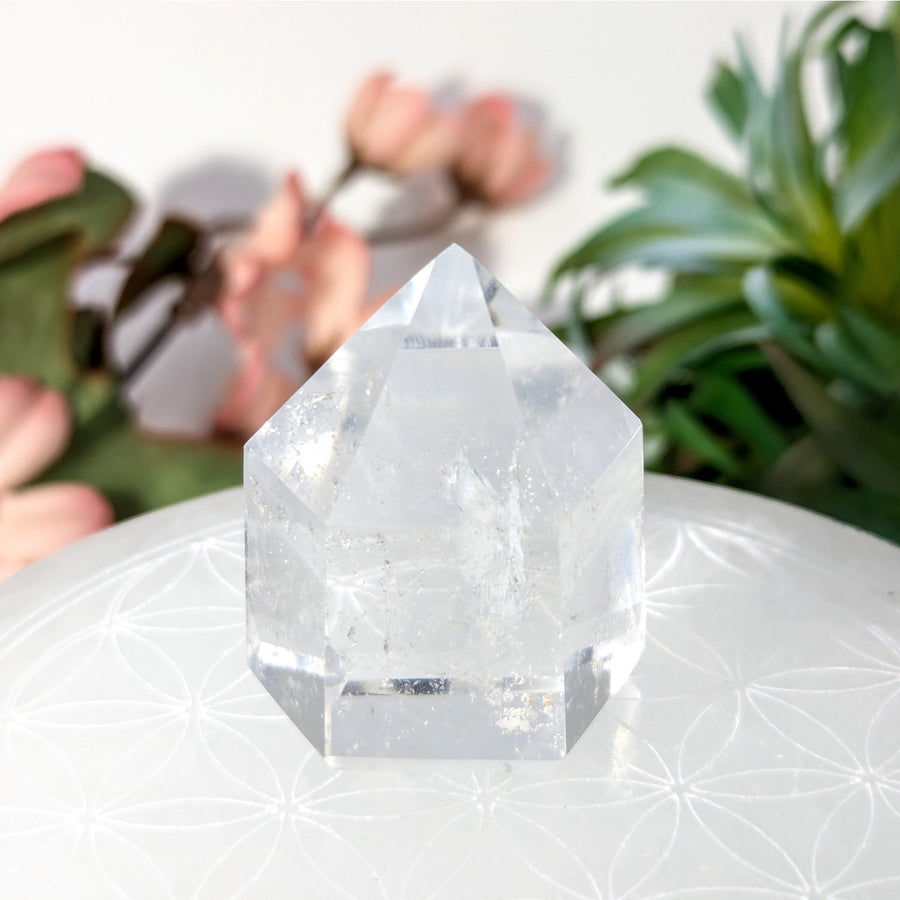 Clear Quartz Crystal Point from the Clear Quartz 1.4 Mini Generator #LV8211