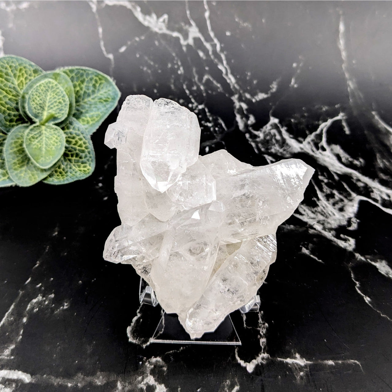 Clear quartz cluster on black marble table - Clear Quartz 3.4’ Extra Quality Cluster #LV5752