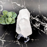 Thumbnail for Clear Quartz Rough Point with a Small Plant - Fine 3.5’ Gemstone #LV5757