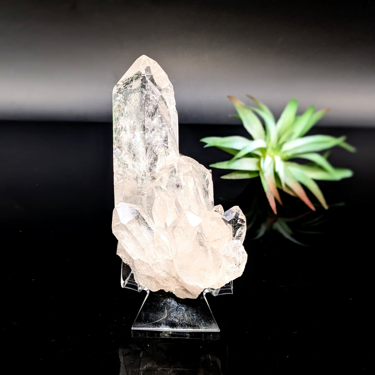 Clear Quartz 3.6’’ Natural Cluster on display stand, showcasing its unique crystal beauty