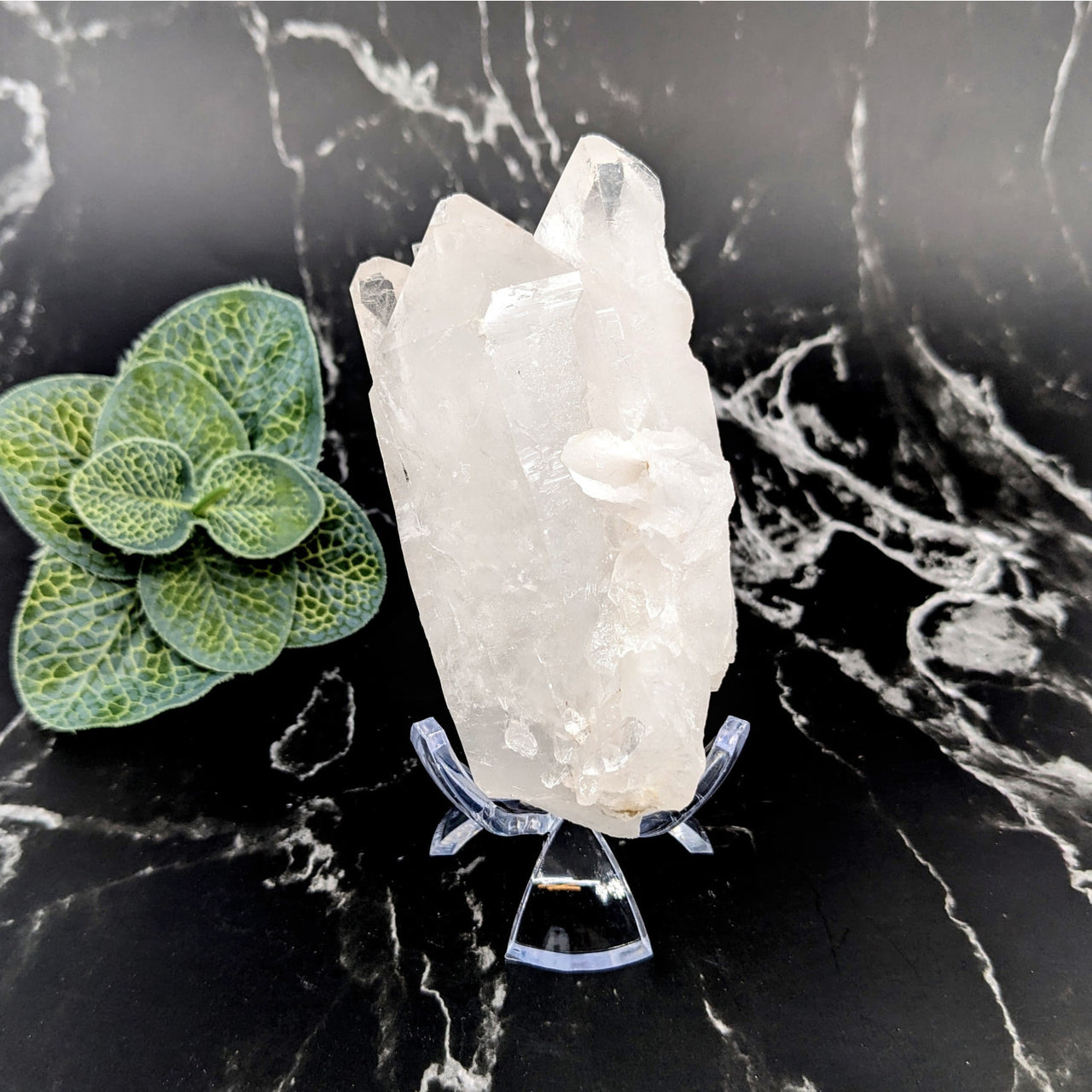 Clear Quartz 3.8’ Rough Point #LV5748 on a black marble table - natural healing crystal