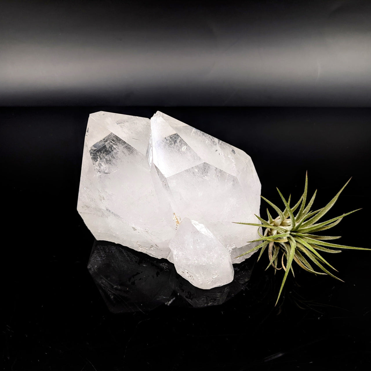 Clear Quartz 4.1’’ Point Specimen #LV6830 - $115