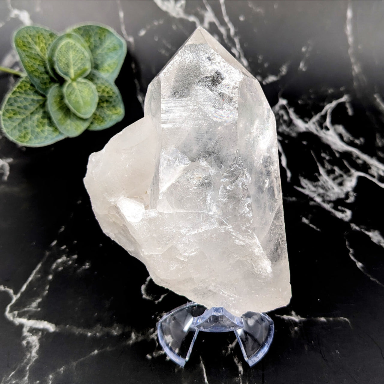 Clear Quartz 4.1’ Rough Point with Small Green Plant #LV5754 for Healing and Decor