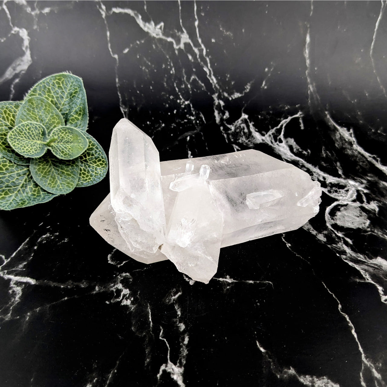 Clear Quartz 4.7’ Rough Point #LV5746 on black marble with green leaf