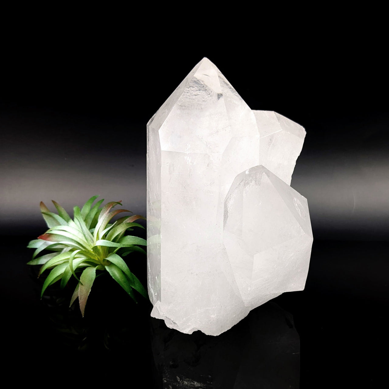 Clear Quartz 5.6’’ Point Specimen #LV6827 - $285