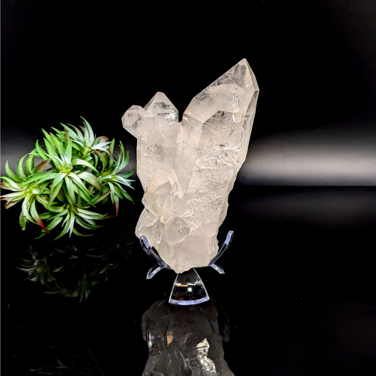 Clear Quartz 6.3’’ Natural Cluster #LV6465 - $255