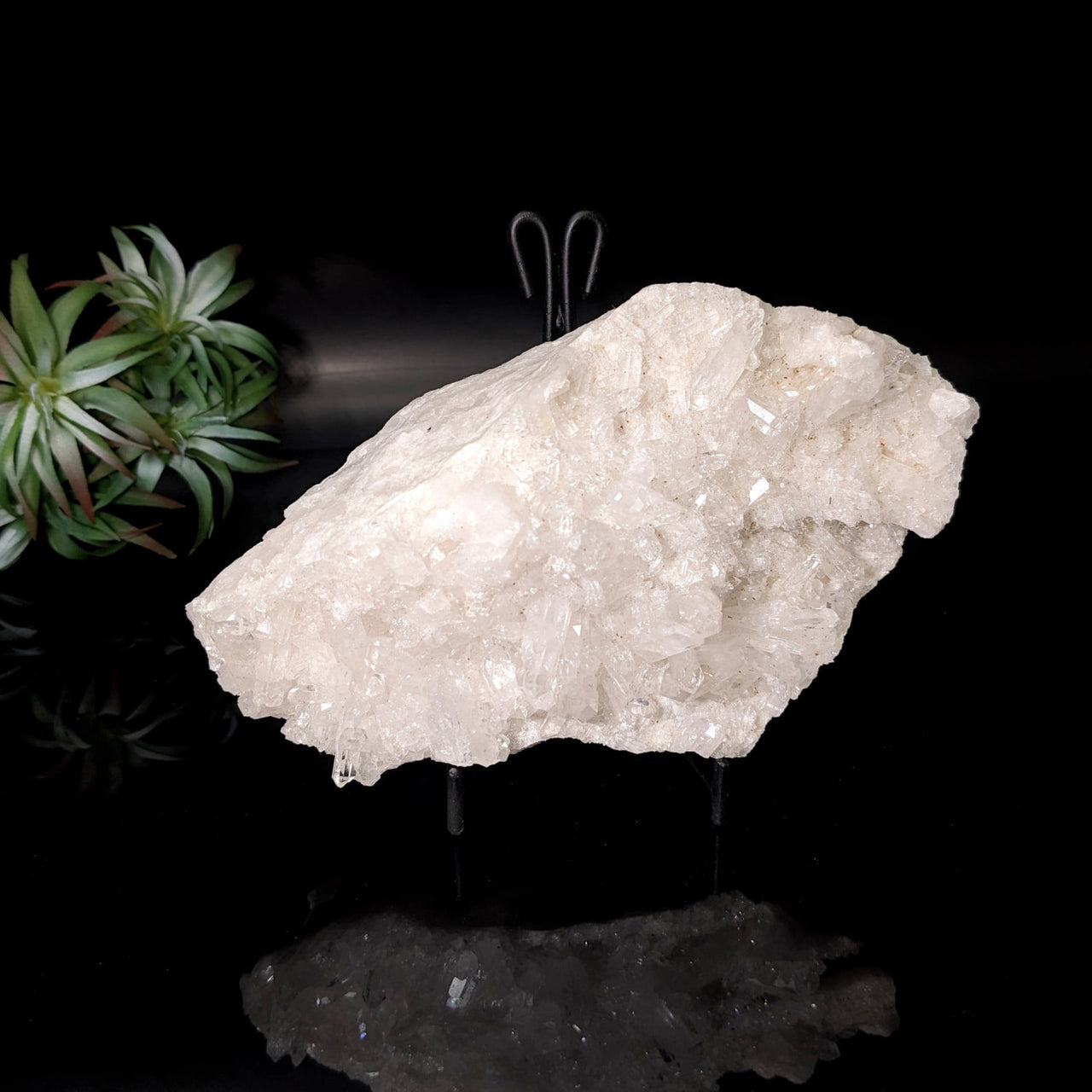 Clear Quartz Cluster - 6.5’ Rough White Quartz on Black Background #LV4770