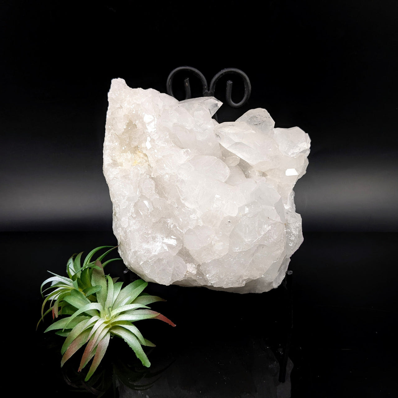 Clear Quartz 7.5’’ Cluster Specimen #LV6832 - $250