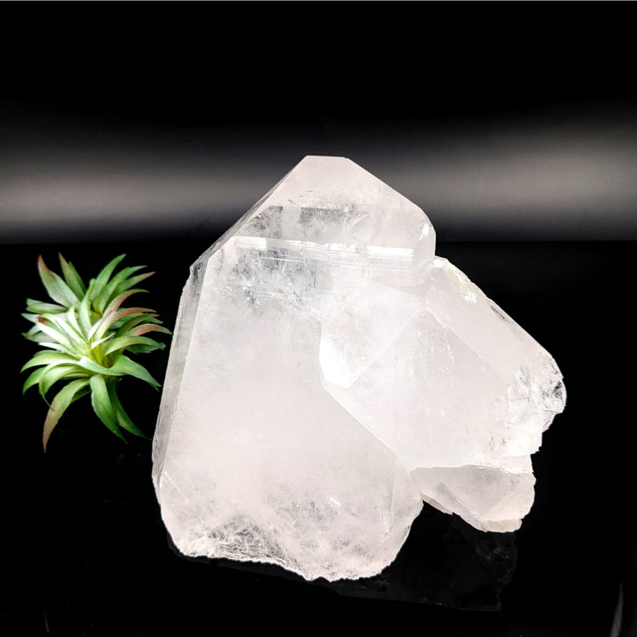 Clear Quartz 7’’ Giant Point #LV6828 - $415