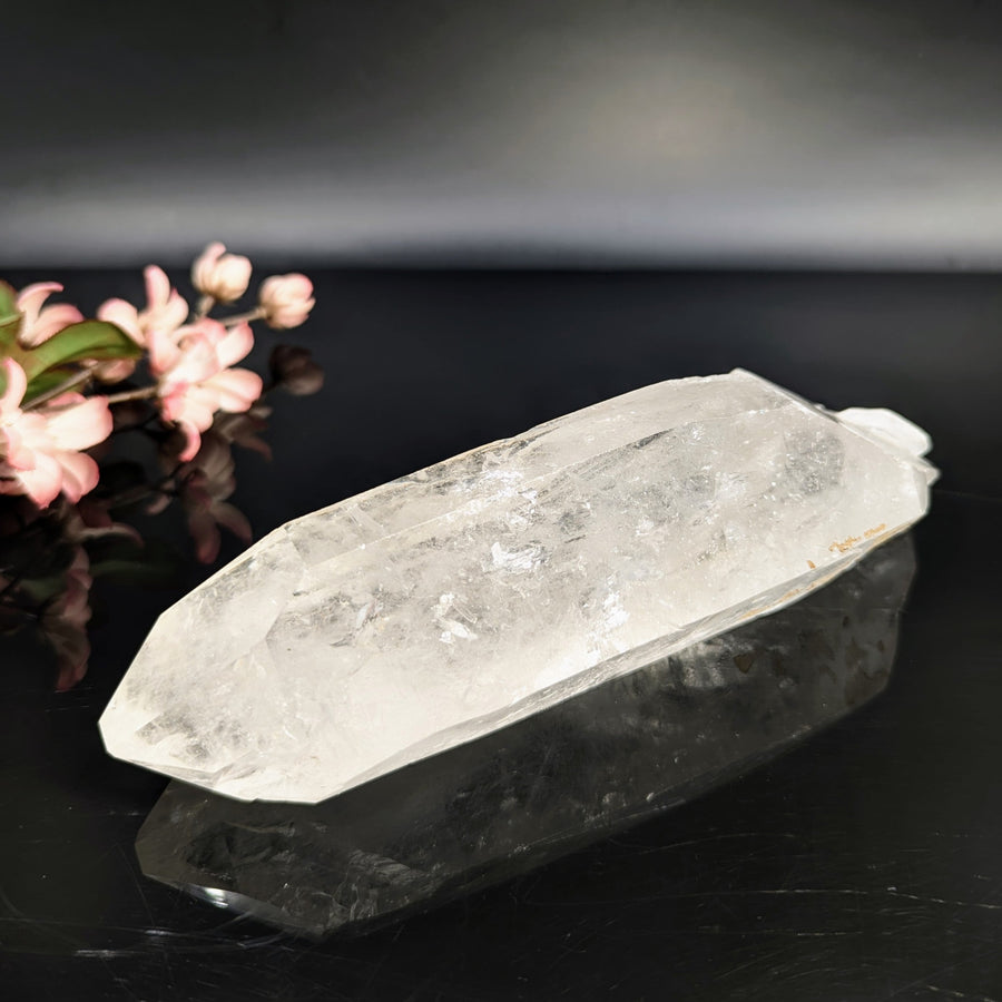 Translucent Quartz Crystal Point in the Clear Quartz 8 Inch Natural Point #LV8503