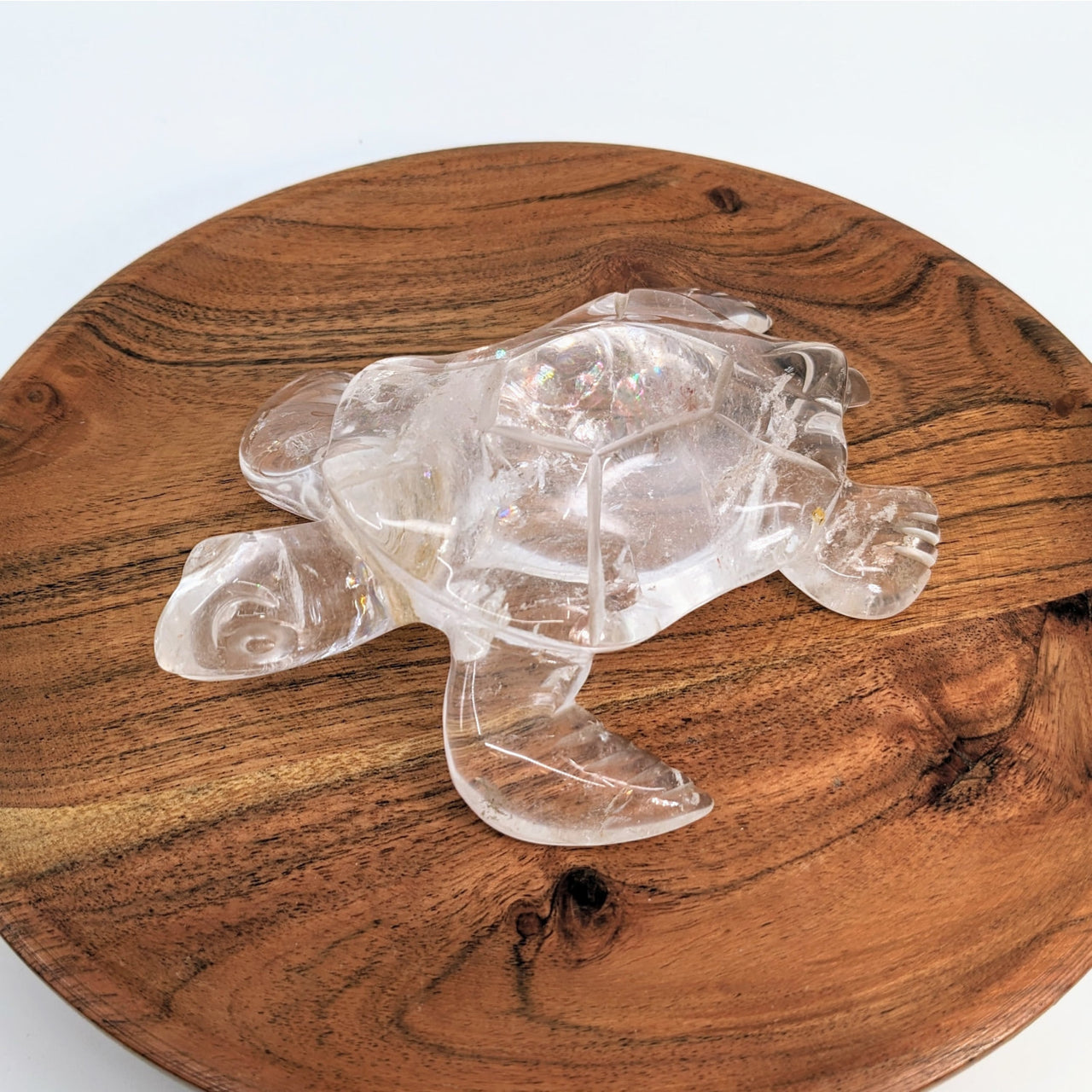 Clear quartz turtle carving with rainbows in a wooden bowl with ice, product #LV2193