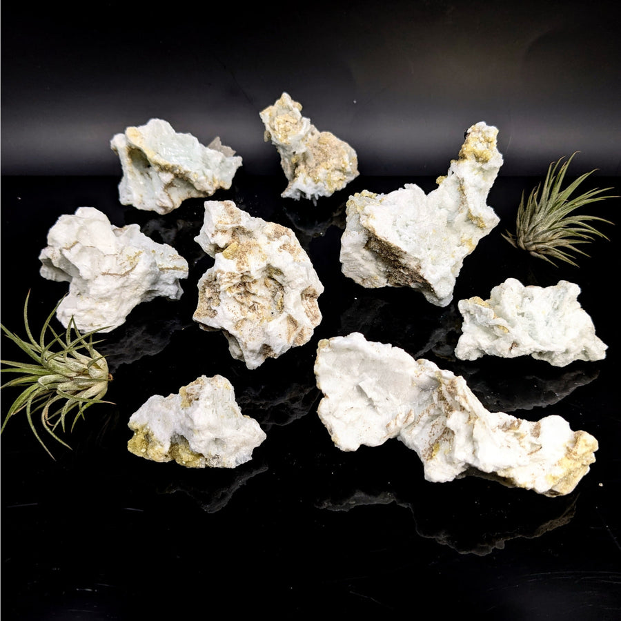 White and tan porous rocks with air plants for Clevelandite Albite 2 4.2 inch rough pickup