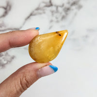 Thumbnail for Hand holding Colombian Amber bird-shaped soap, 1.5’ polished piece, product LV3161