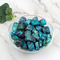 Congo Chrysocolla 1 - 1.3’’ Tumbled Stone #LV5310 - $9.95