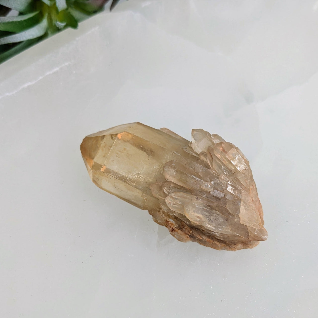 Raw smoky quartz crystal point showcasing Congo Citrine natural cluster point elegance