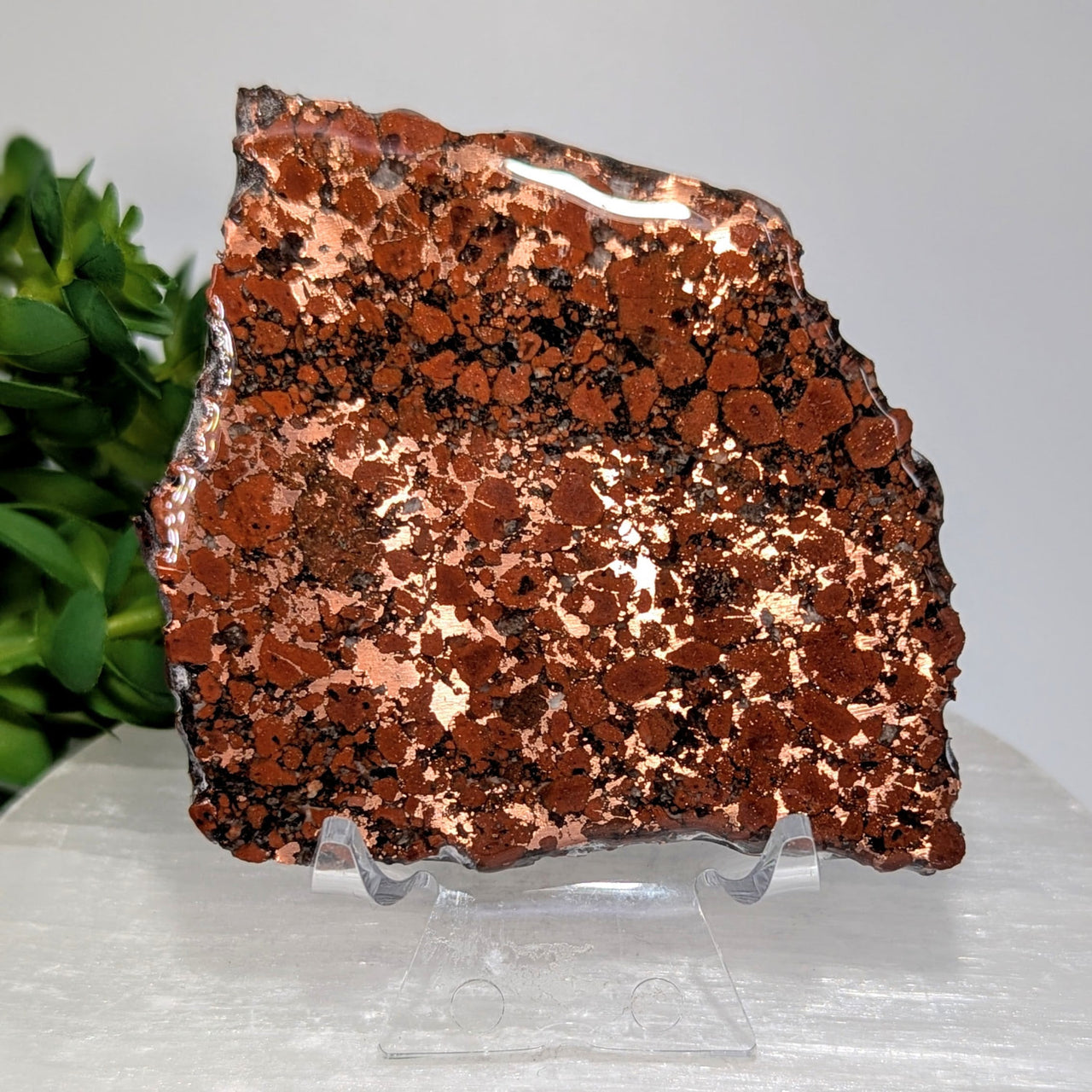 Polished 2.7-inch copper slab with speckled inclusions, #BC0623