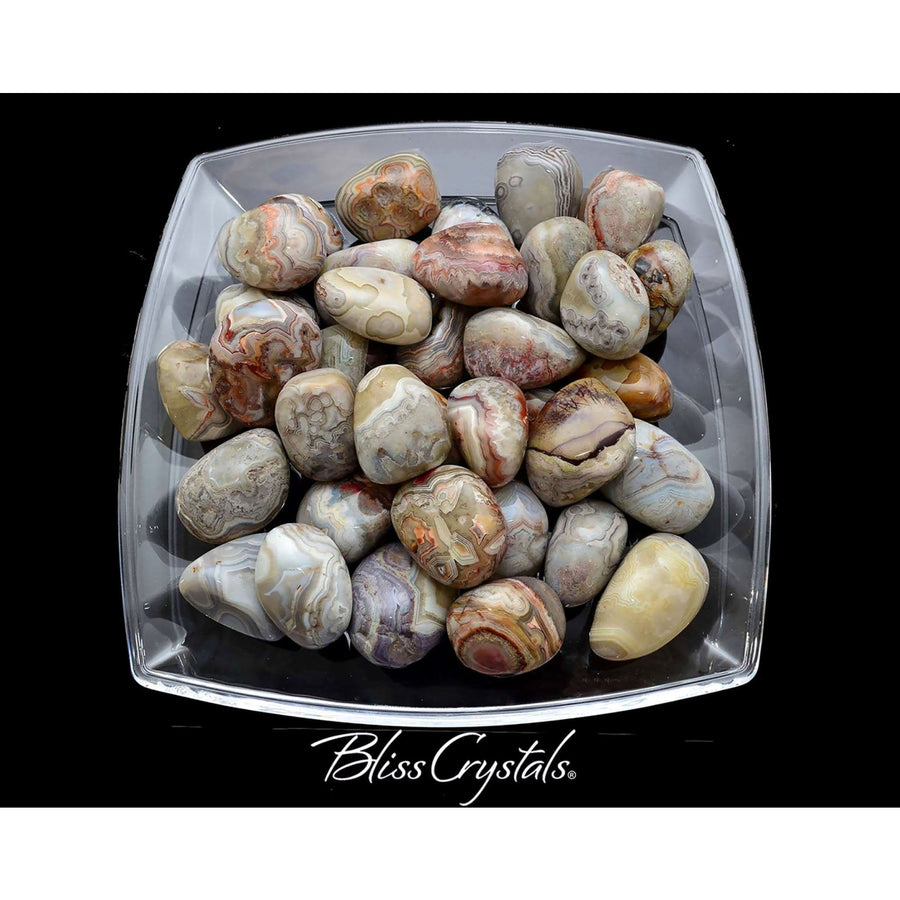 Crazy! 1 XL CRAZY LACE Agate Tumbled Stone w Earthtone 