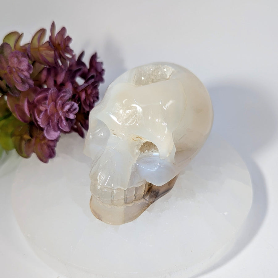 Cream Agate Druzy 3.25’’ Translucent White Opal Skull #BC0261