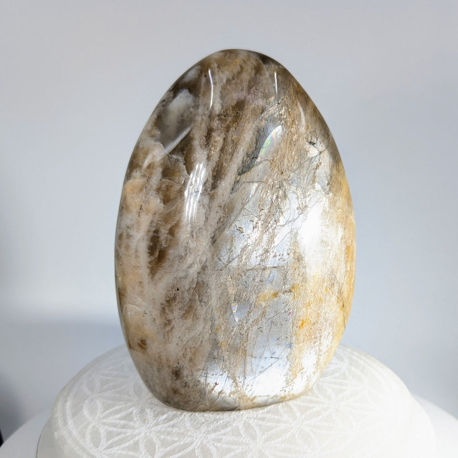 Polished egg-shaped Cream Moonstone with internal inclusions, measuring 4.5 inches