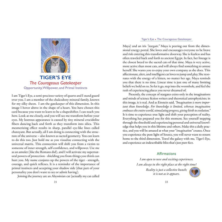 Mystical Cat Illustration on Crystal Clear Oracle Card by Nadine Gordon-Taylor