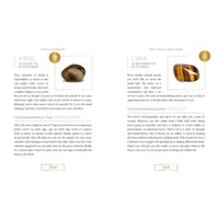 Zodiac Crystal Guide from Crystal Companions by Jessica Lahoud LV7316 displaying zodiac crystal symbols
