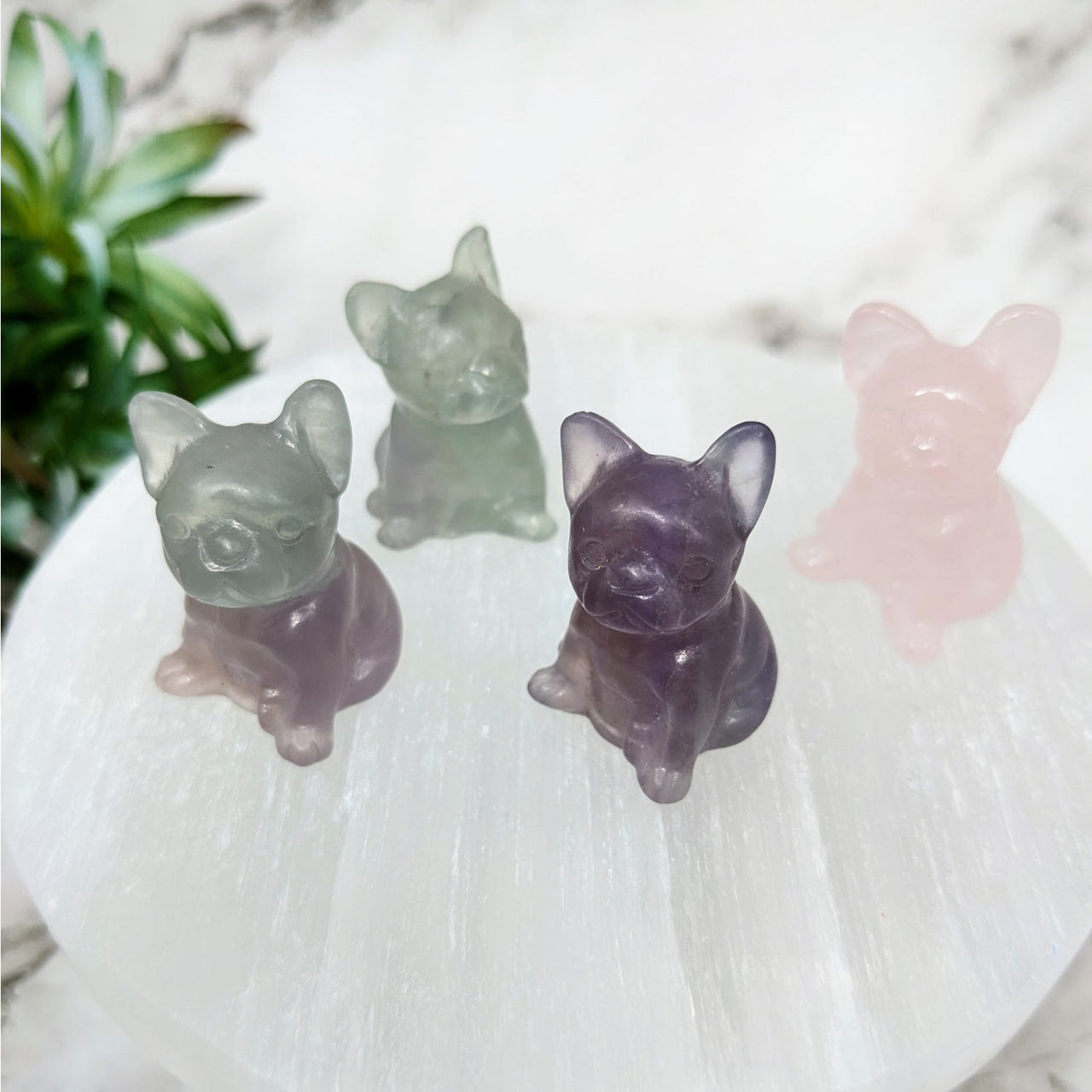Crystal Frenchie 1.5’’ Carving- Rose Quartz or Fluorite