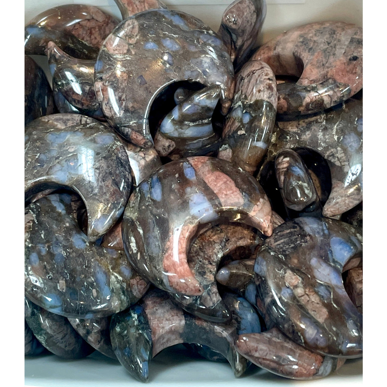 Raw blue mussels in shells for Crystal Moon & Star #C039 with tier benefits