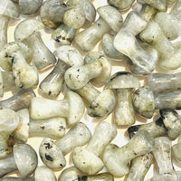 Thumbnail for Translucent white moonstone gemstones with pearly luster in Crystal Mushroom C041