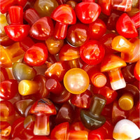 Thumbnail for Colorful gummy candies shaped like mushrooms in red, orange, and yellow hues, Crystal Mushroom C041