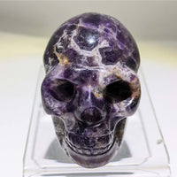 Thumbnail for Crystal Skull Carving with Purple Stone atop a Skull for Unique Decor and Healing Energy