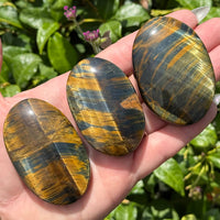 Blue and Gold Tiger Eye Palm Stone #BC0567