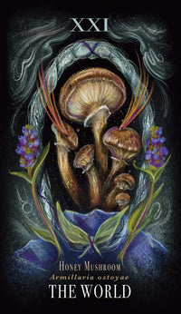 Midnight Magic by Sara Richard #BC1800