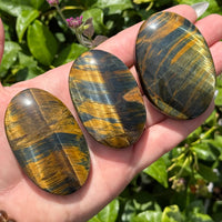 Blue and Gold Tiger Eye Palm Stone #BC0567