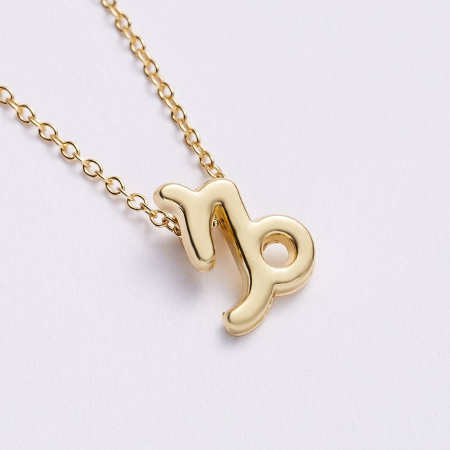 Gold Capricorn Zodiac Necklace in stainless steel, gold plated, Dainty Zodiac jewelry