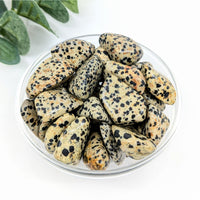 Thumbnail for Dalmation Jasper 1-1.7’’ Tumbled Stone #LV6022 - $3.95